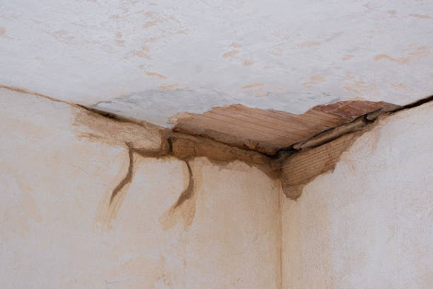 Water damage restoration